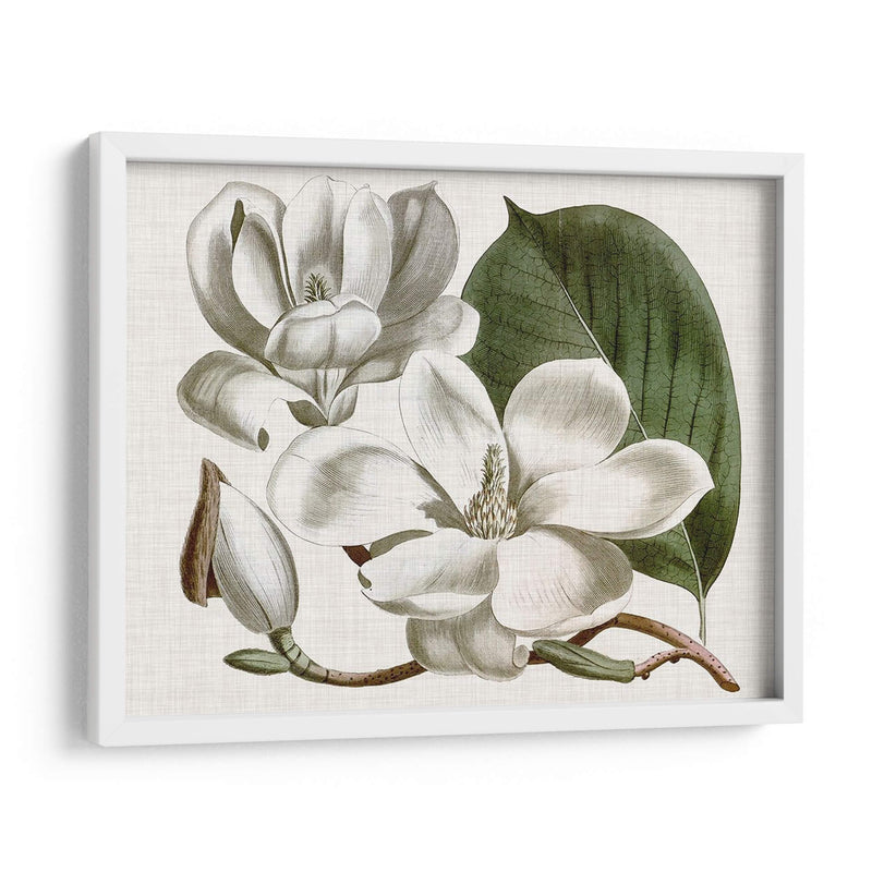 Curtis Magnolia I - Curtis | Cuadro decorativo de Canvas Lab