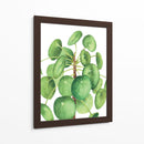 Pilea - Blanca Aurora | Cuadro decorativo de Canvas Lab