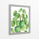 Pilea - Blanca Aurora | Cuadro decorativo de Canvas Lab