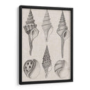 Cáscaras De Leña Y Lino Ii - Vision Studio | Cuadro decorativo de Canvas Lab