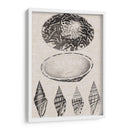 Cáscaras De Leña Y Lino Iii - Vision Studio | Cuadro decorativo de Canvas Lab