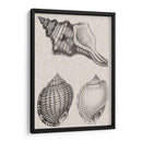 Cáscaras De Carbón Y Lino V - Vision Studio | Cuadro decorativo de Canvas Lab