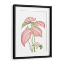 Romeo Rosa - Blanca Aurora | Cuadro decorativo de Canvas Lab