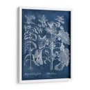 Hojas De Besler En Índigo I - Vision Studio | Cuadro decorativo de Canvas Lab