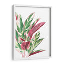 Triostar - Blanca Aurora | Cuadro decorativo de Canvas Lab