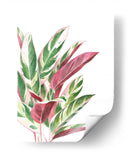 Triostar - Blanca Aurora | Cuadro decorativo de Canvas Lab