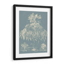 Delicado Besler Botánico I - Vision Studio | Cuadro decorativo de Canvas Lab