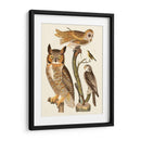 Wilson Búhos I - Alexander Wilson | Cuadro decorativo de Canvas Lab