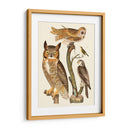 Wilson Búhos I - Alexander Wilson | Cuadro decorativo de Canvas Lab