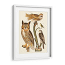 Wilson Búhos I - Alexander Wilson | Cuadro decorativo de Canvas Lab