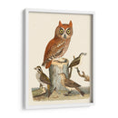 Wilson Owls Ii - Alexander Wilson | Cuadro decorativo de Canvas Lab