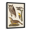 Wilson Owls Iii - Alexander Wilson | Cuadro decorativo de Canvas Lab