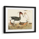 Familia De La Garza Iv - Alexander Wilson | Cuadro decorativo de Canvas Lab