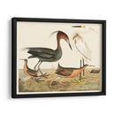 Familia De La Garza Iv - Alexander Wilson | Cuadro decorativo de Canvas Lab