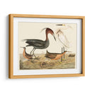 Familia De La Garza Iv - Alexander Wilson | Cuadro decorativo de Canvas Lab