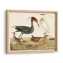 Familia De La Garza Iv - Alexander Wilson | Cuadro decorativo de Canvas Lab