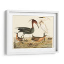 Familia De La Garza Iv - Alexander Wilson | Cuadro decorativo de Canvas Lab