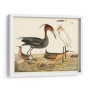 Familia De La Garza Iv - Alexander Wilson | Cuadro decorativo de Canvas Lab