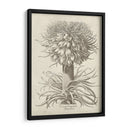 Fresco Crown Imperial I - Vision Studio | Cuadro decorativo de Canvas Lab