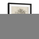 Fresco Crown Imperial Ii - Vision Studio | Cuadro decorativo de Canvas Lab