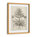 Fresco Crown Imperial Iii - Vision Studio | Cuadro decorativo de Canvas Lab