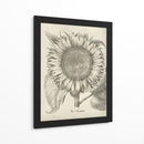 Girasol Fresco I-II - Vision Studio | Cuadro decorativo de Canvas Lab
