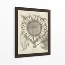 Girasol Fresco I-II - Vision Studio | Cuadro decorativo de Canvas Lab