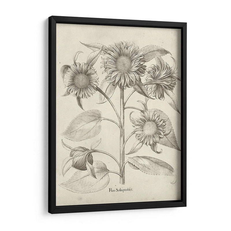 Fresco Sunflower Ii - Vision Studio | Cuadro decorativo de Canvas Lab