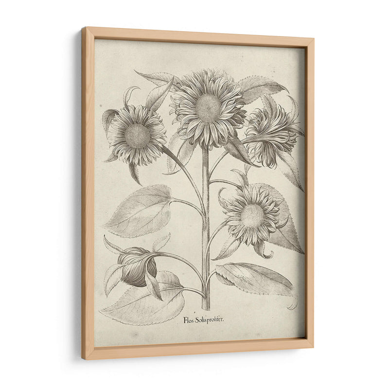 Fresco Sunflower Ii - Vision Studio | Cuadro decorativo de Canvas Lab