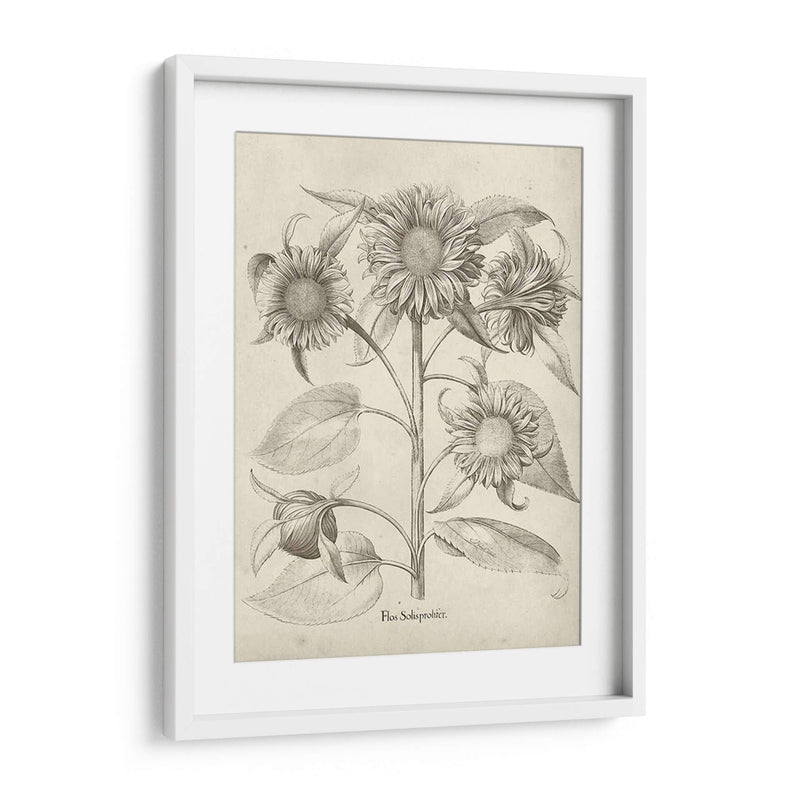 Fresco Sunflower Ii - Vision Studio | Cuadro decorativo de Canvas Lab