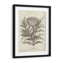 Alcachofa Fresco I - Vision Studio | Cuadro decorativo de Canvas Lab