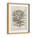 Alcachofa Fresco I - Vision Studio | Cuadro decorativo de Canvas Lab