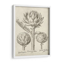 Artichape Fresco Ii - Vision Studio | Cuadro decorativo de Canvas Lab