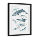 Cetacea I - June Erica Vess | Cuadro decorativo de Canvas Lab