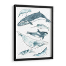 Cetacea I - June Erica Vess | Cuadro decorativo de Canvas Lab