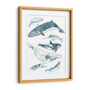 Cetacea I - June Erica Vess | Cuadro decorativo de Canvas Lab