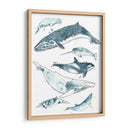 Cetacea I - June Erica Vess | Cuadro decorativo de Canvas Lab