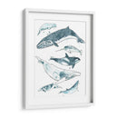 Cetacea I - June Erica Vess | Cuadro decorativo de Canvas Lab