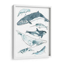 Cetacea I - June Erica Vess | Cuadro decorativo de Canvas Lab