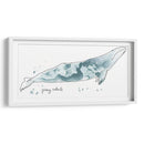 Ballena Gris Cetácea - June Erica Vess | Cuadro decorativo de Canvas Lab