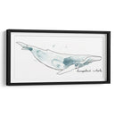 Cetacea Humpback - June Erica Vess | Cuadro decorativo de Canvas Lab