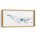 Cetacea Humpback - June Erica Vess | Cuadro decorativo de Canvas Lab
