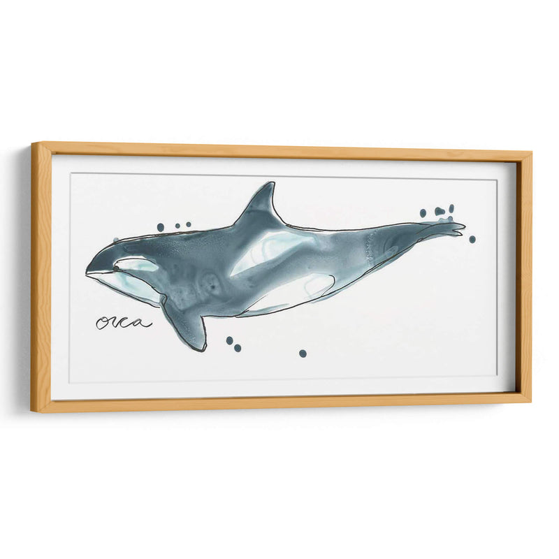 Cetacea Orca Ballena - June Erica Vess | Cuadro decorativo de Canvas Lab