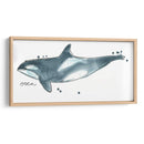 Cetacea Orca Ballena - June Erica Vess | Cuadro decorativo de Canvas Lab