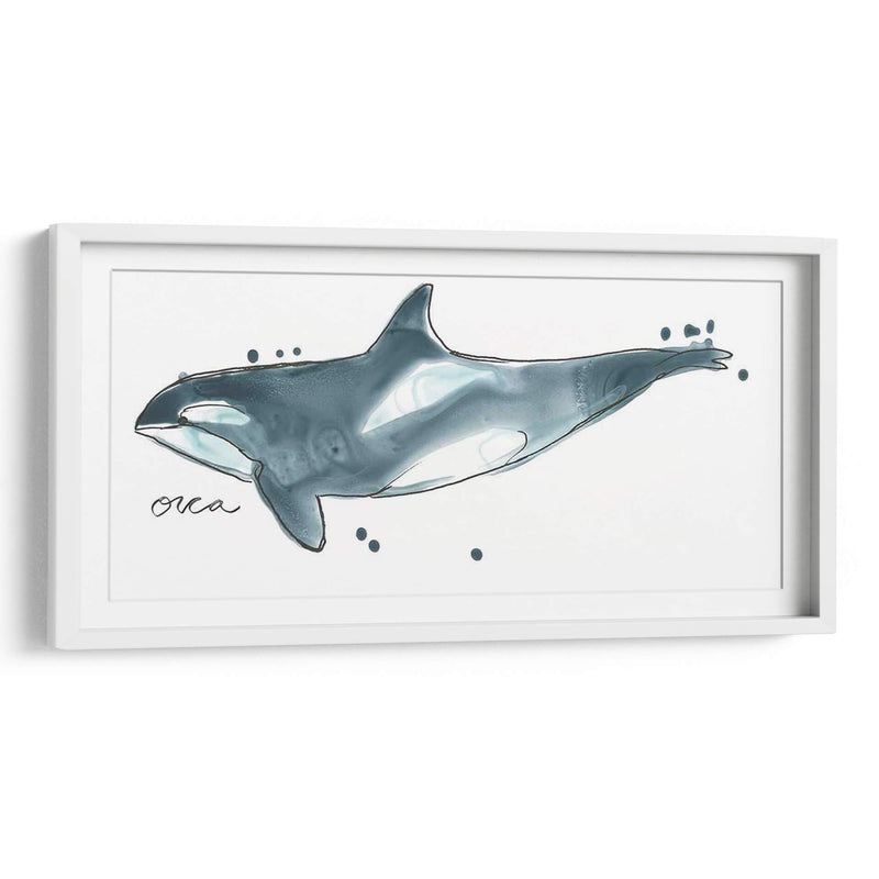 Cetacea Orca Ballena - June Erica Vess | Cuadro decorativo de Canvas Lab
