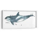 Cetacea Orca Ballena - June Erica Vess | Cuadro decorativo de Canvas Lab