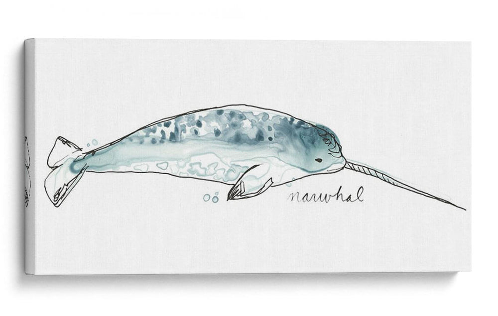 Cetacea Narwhal - June Erica Vess | Cuadro decorativo de Canvas Lab