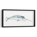 Cetacea Narwhal - June Erica Vess | Cuadro decorativo de Canvas Lab