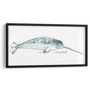 Cetacea Narwhal - June Erica Vess | Cuadro decorativo de Canvas Lab