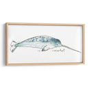 Cetacea Narwhal - June Erica Vess | Cuadro decorativo de Canvas Lab